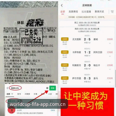 世界杯体育APP官网入口常见问题全面评测：从下载到观赛的完整指南